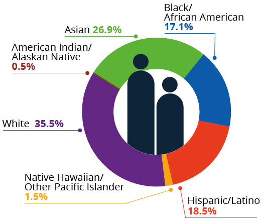 chart-ethnicity